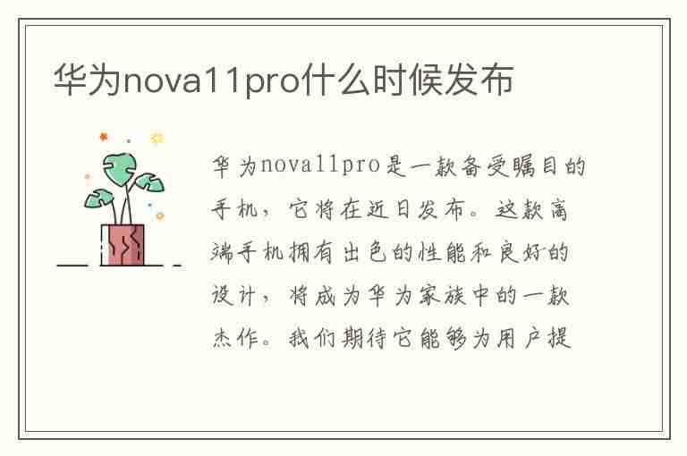 华为nova11pro什么时候发布